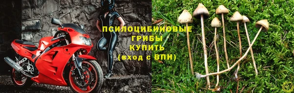 марихуана Балабаново