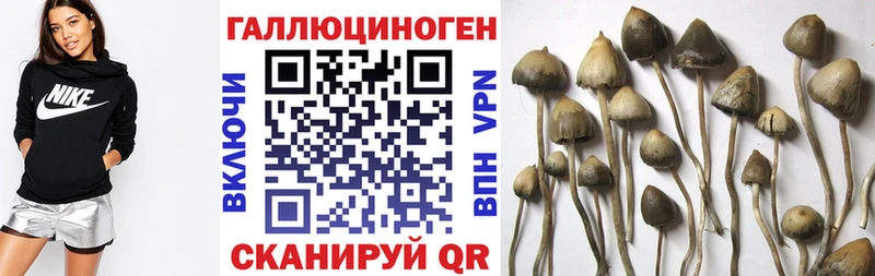 Псилоцибиновые грибы Magic Shrooms  Чаплыгин 