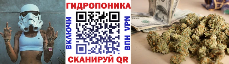 наркота  Чаплыгин  Каннабис индика 